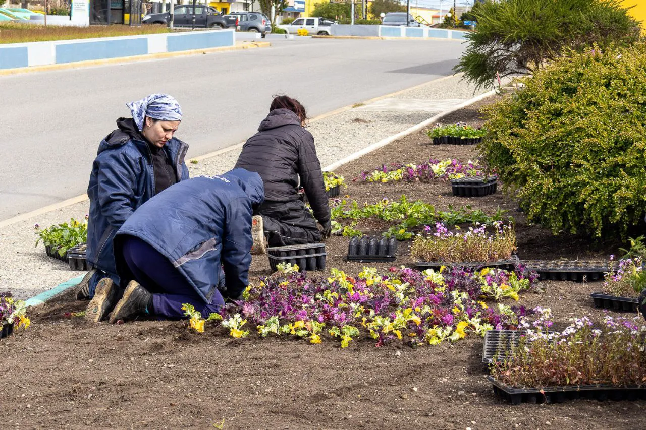 Embellecimiento urbano 