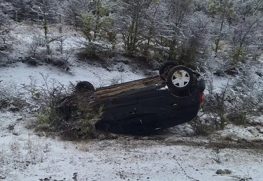 ceb5696b-c99c-46ac-b885-f57c76fc8e43