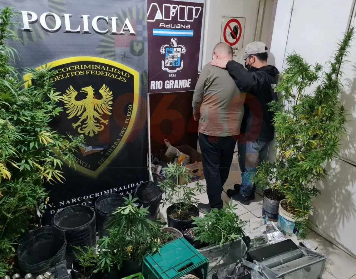 Nulidad de Allanamiento