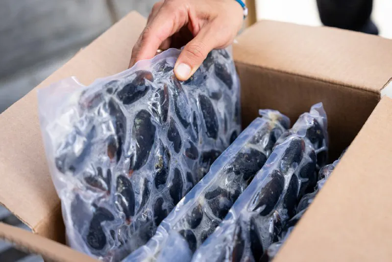 Exportación de mejillones- Gob
