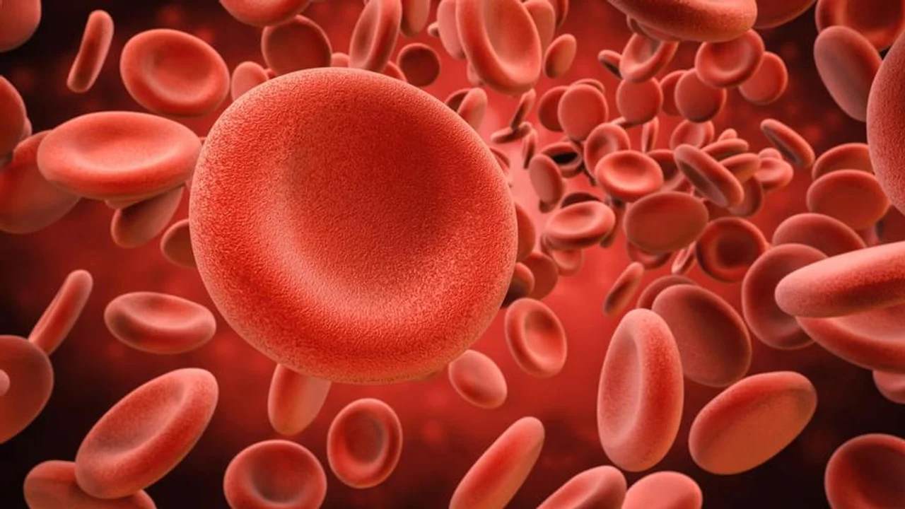 cancer sangre