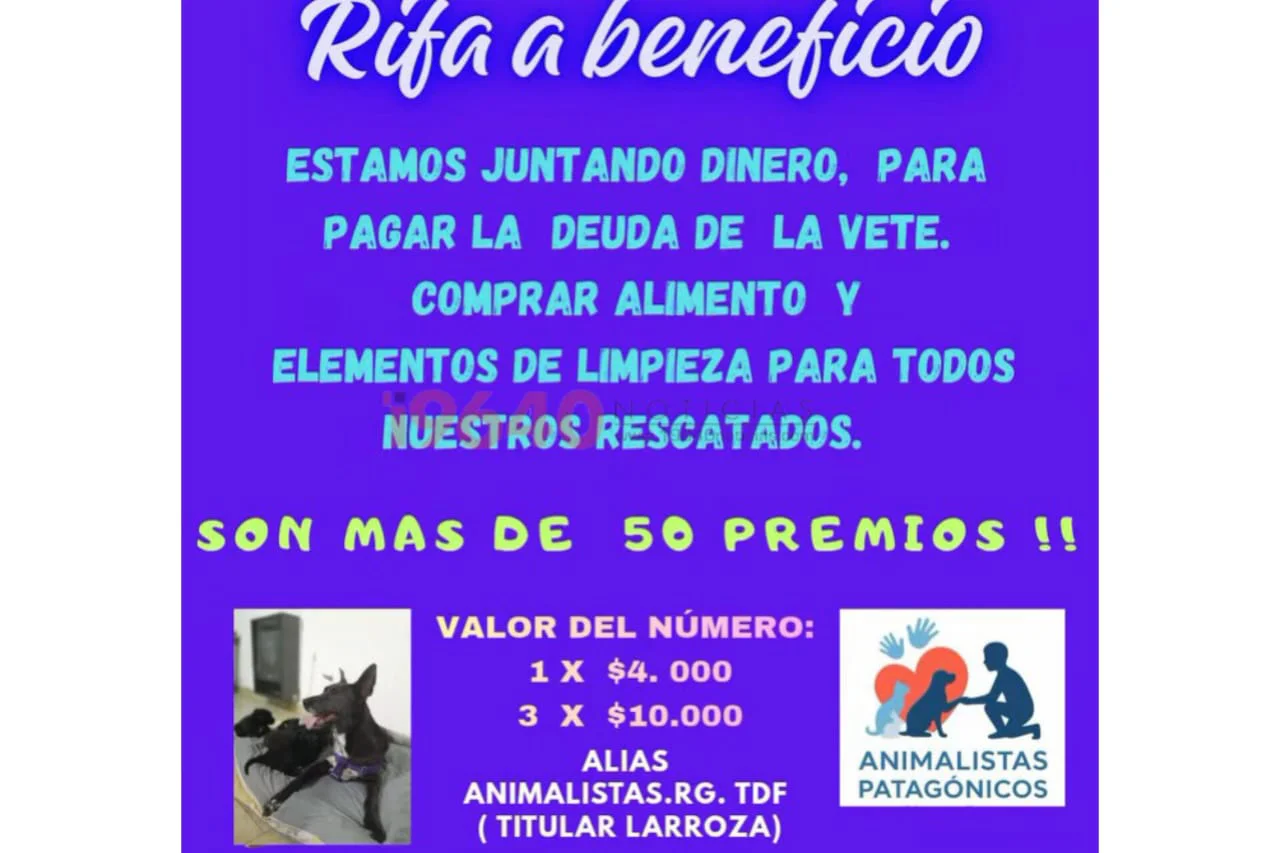 Rifa Animalistas patagonicos