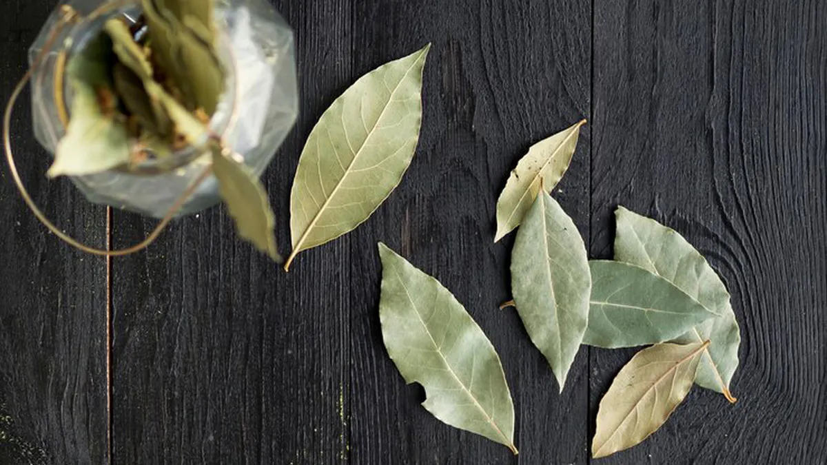 Hojas de laurel en el baño ¿qué significa y para qué sirve?