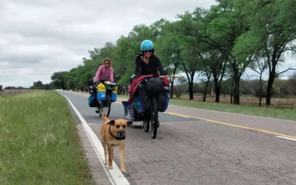 multimedia.normal.924c8cc3ed0f7f47.YmVjZWNoZWNoYXNfbm9ybWFsLndlYnA=