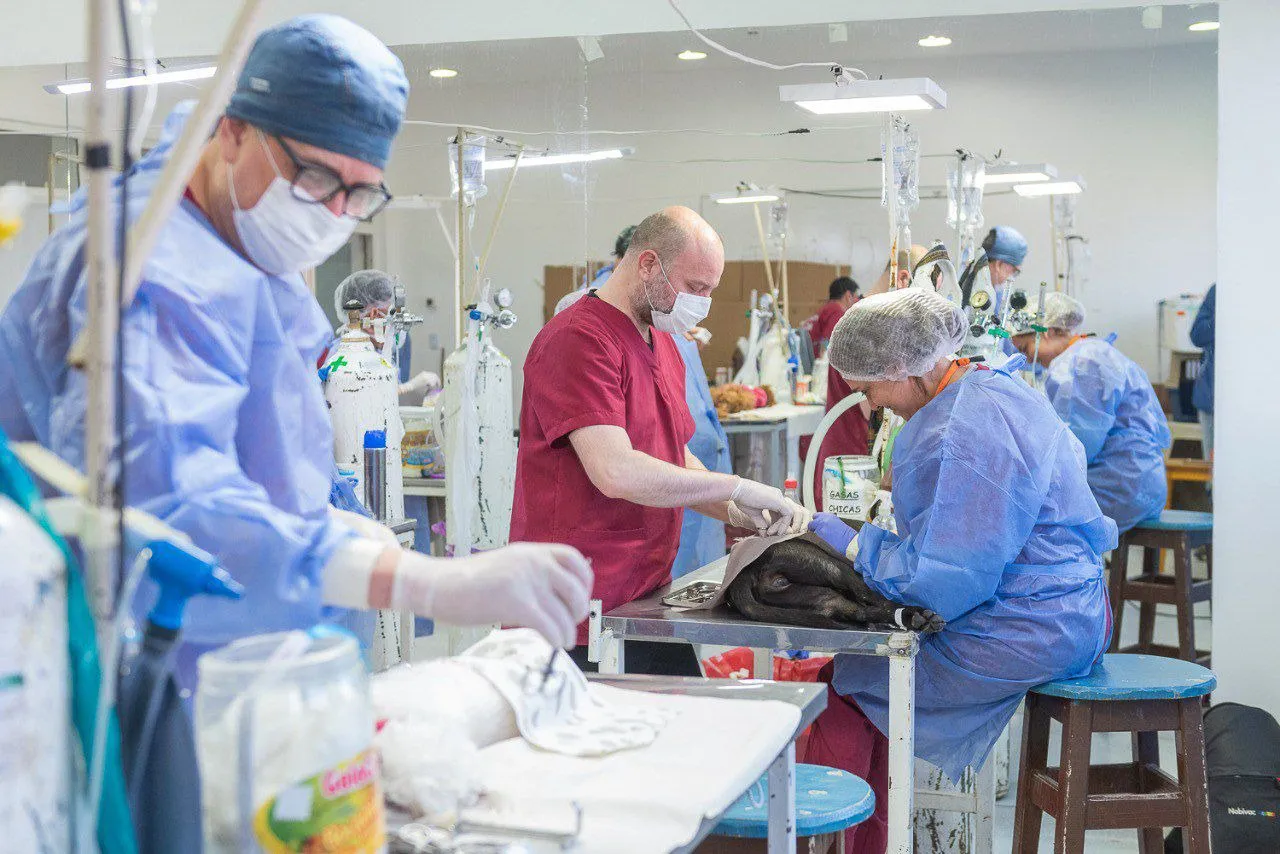 Jornada de Castración masiva