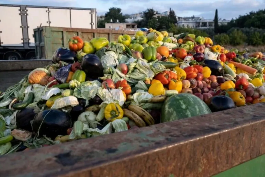 Desperdicio de alimentos