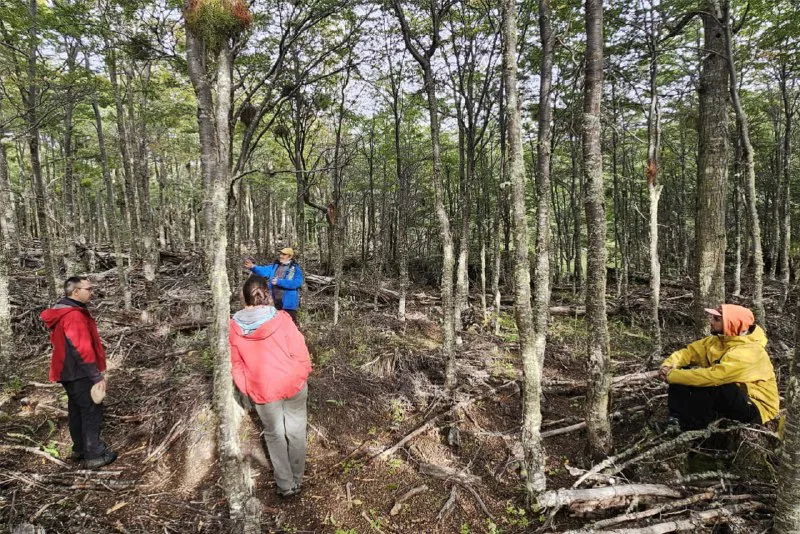 Productores- CFI- GOBIERNO