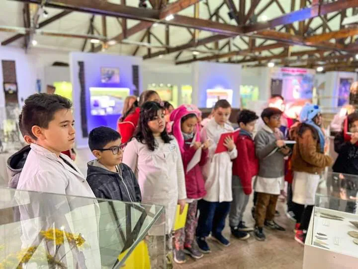 Museo Virgia Choquintel