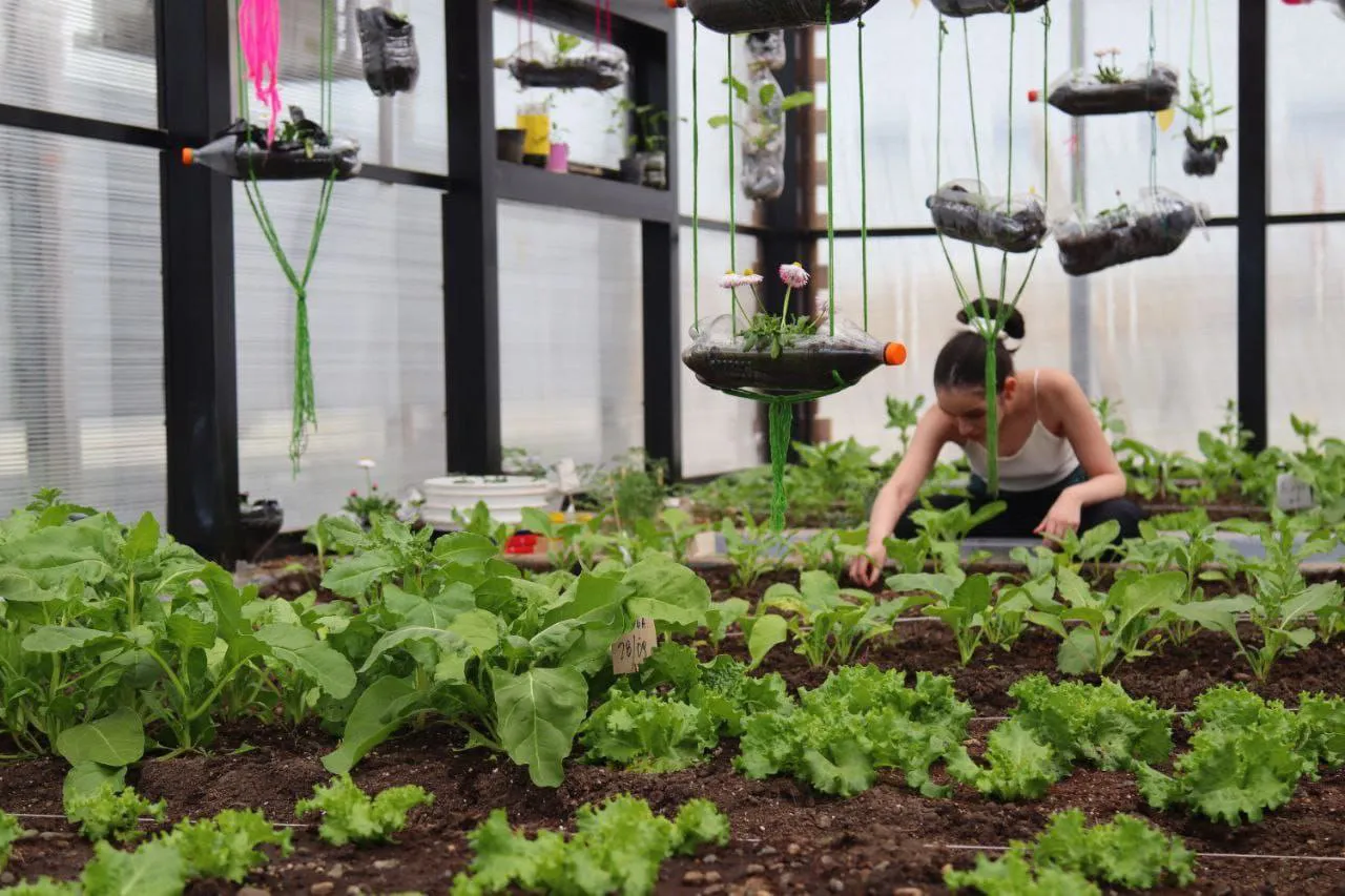 Vivero Casa de Jóvenes