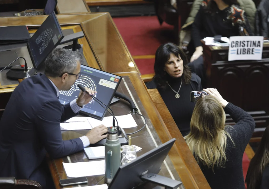 cámara de diputados
