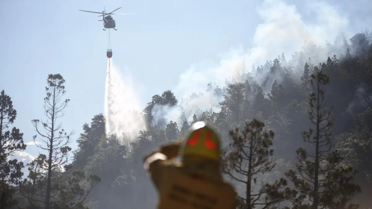 Incendio Los Alerces