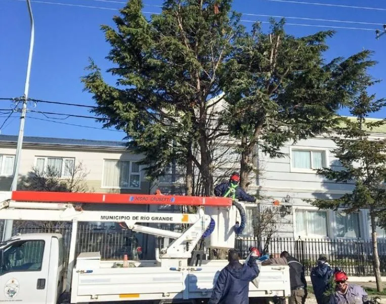 Municipio de RG: programa Ciudad Verde 