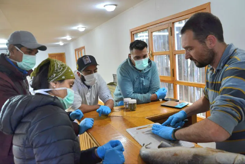 curso de actualización para pescadores y acuicultores artesanales- Gob