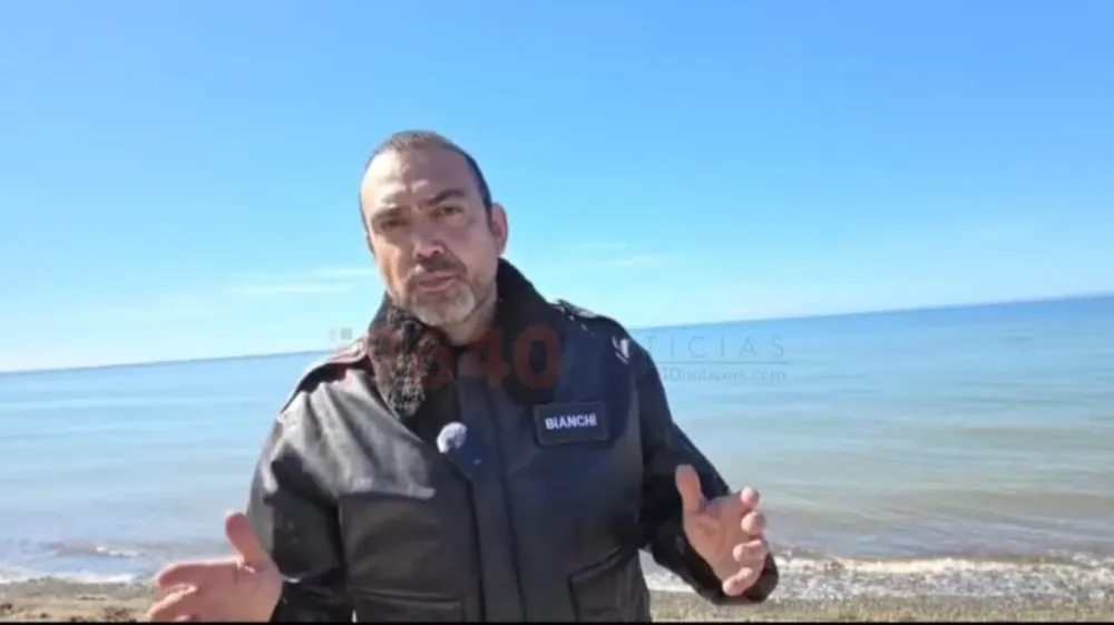 Senador de Punta Arenas Karim Bianchi
