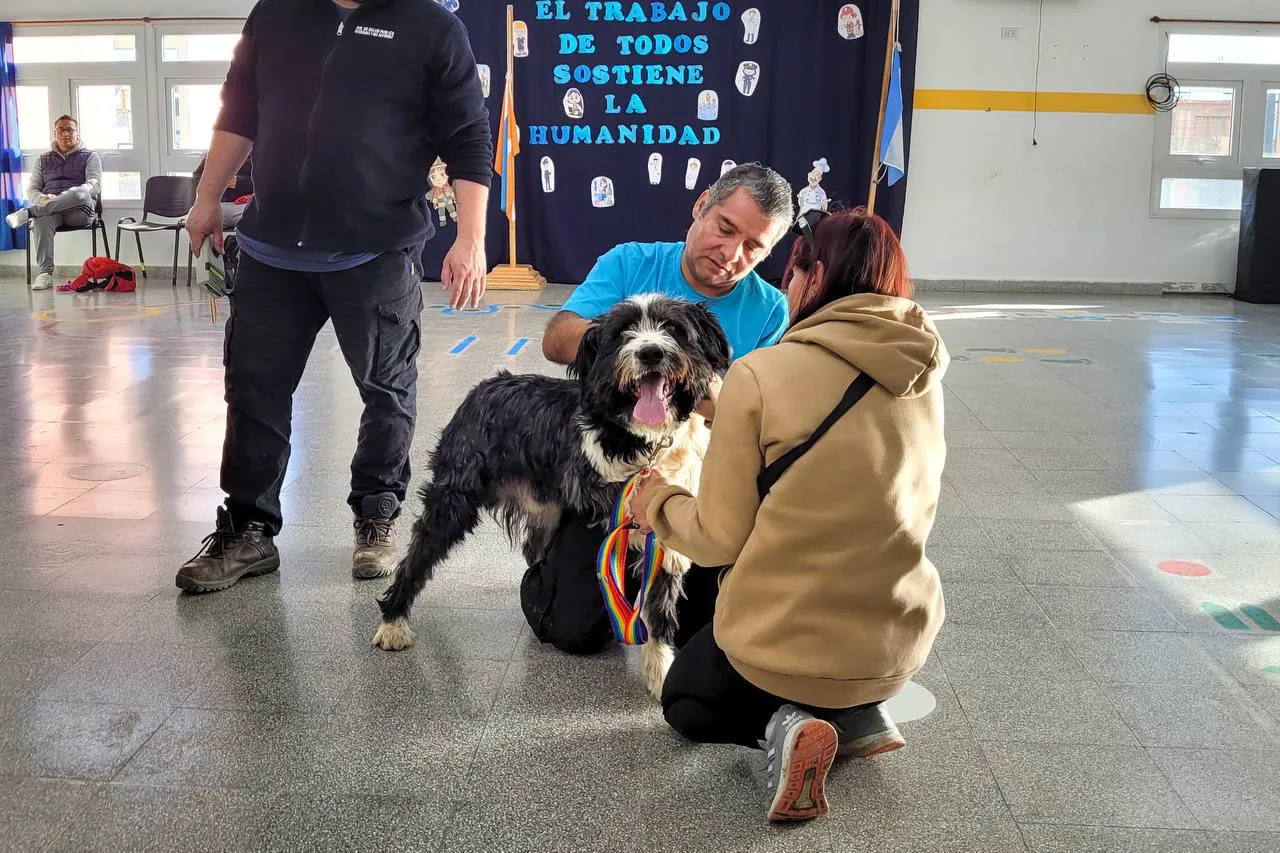 campaña de salud veterinaria