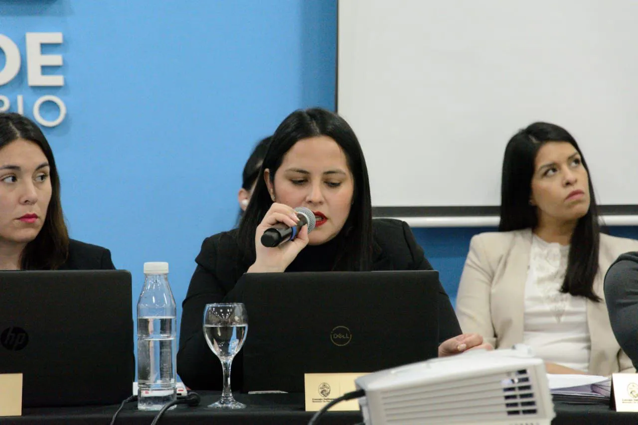Arce Presupuesto
