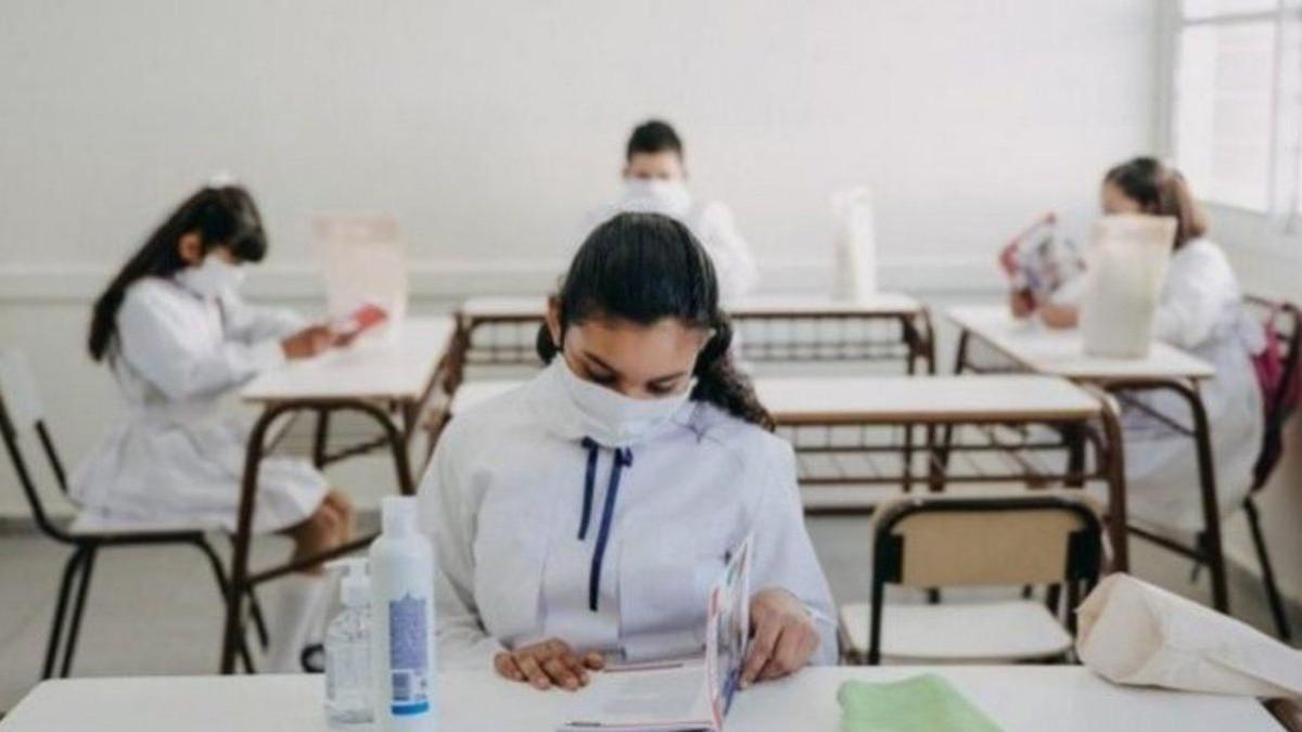Burbujas escuelas