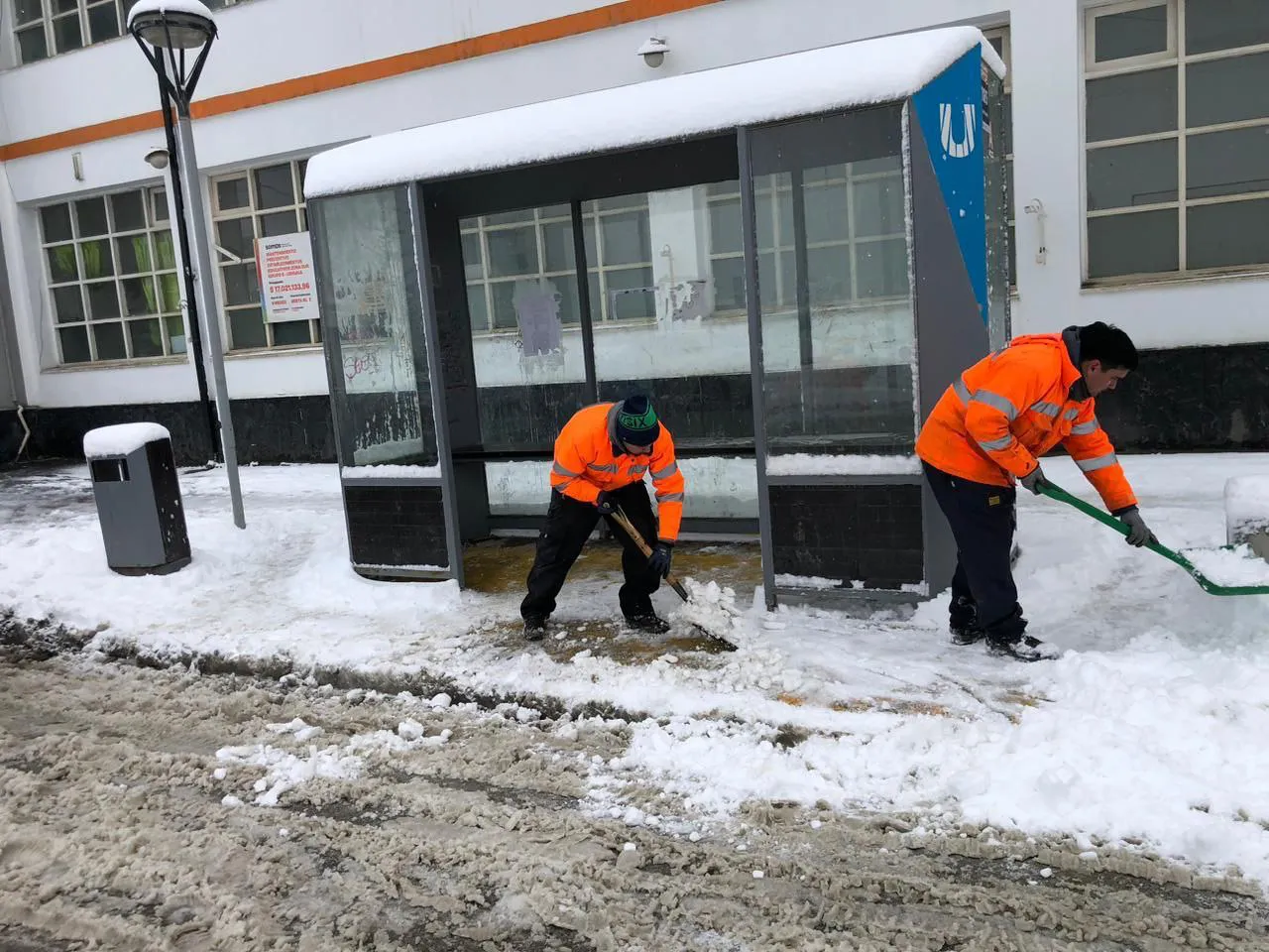despeje nieve