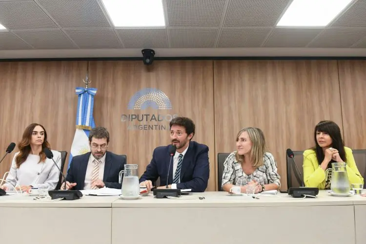 plenario de comisiones diputados SUPER RIGI