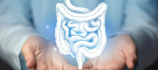 síndrome de intestino corto