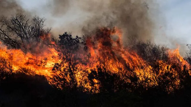 Incendios Forestales Córdoba