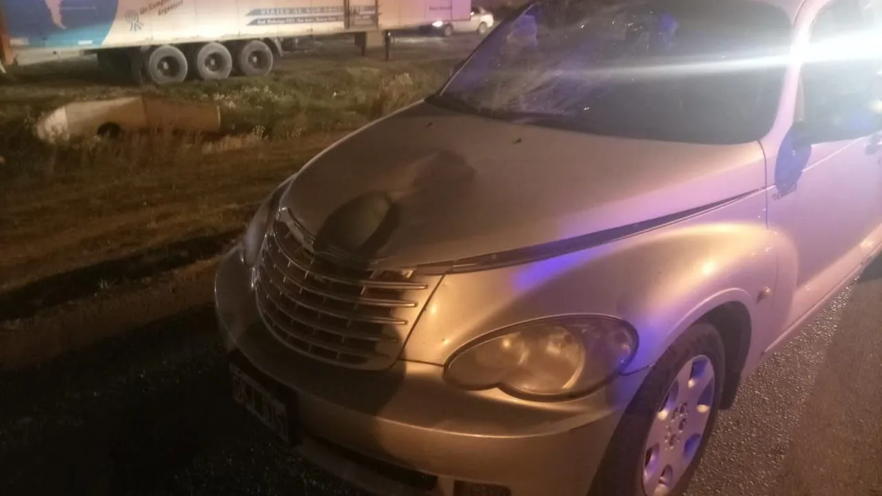 Atropellamiento Ruta N°3 RG