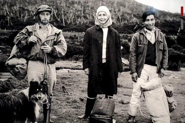 Proyecto de la UNTDF