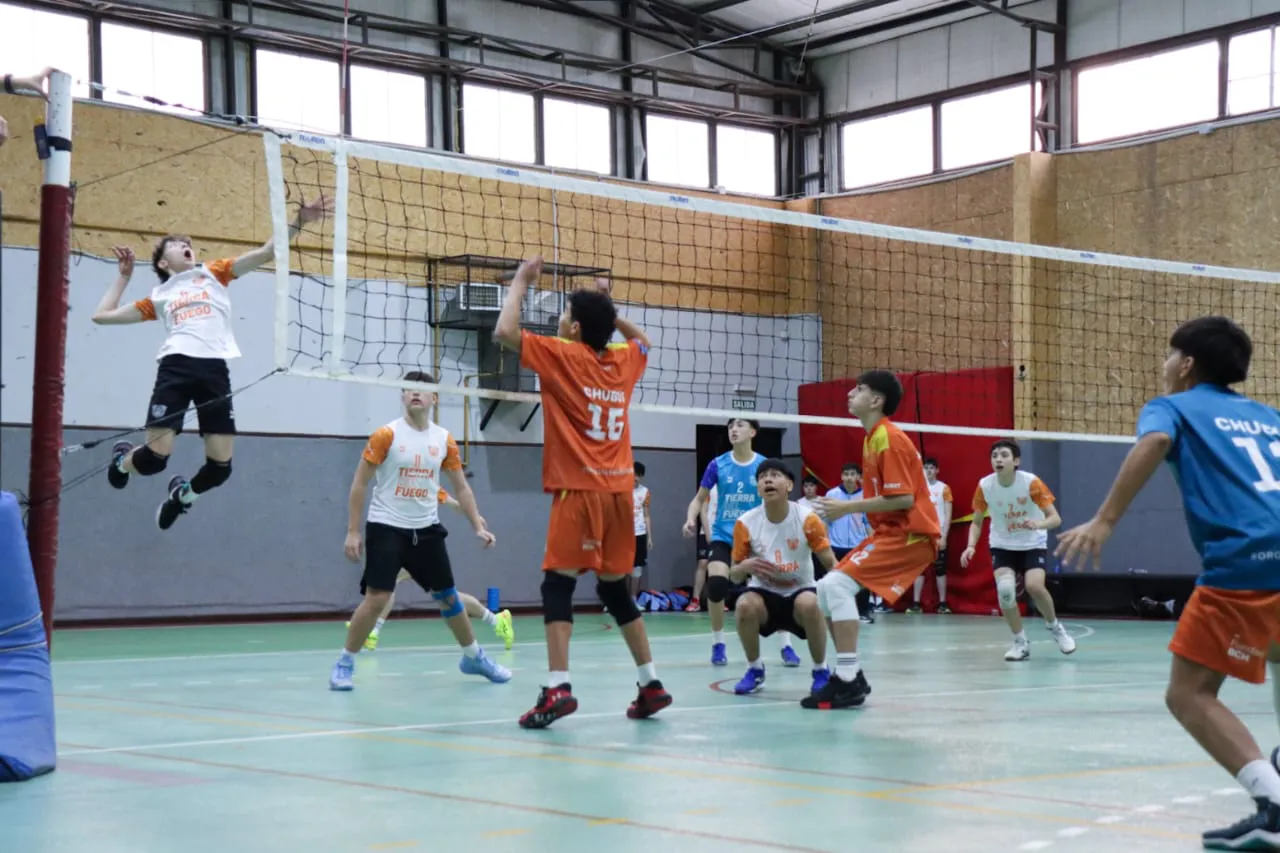 cuadrangular de voley