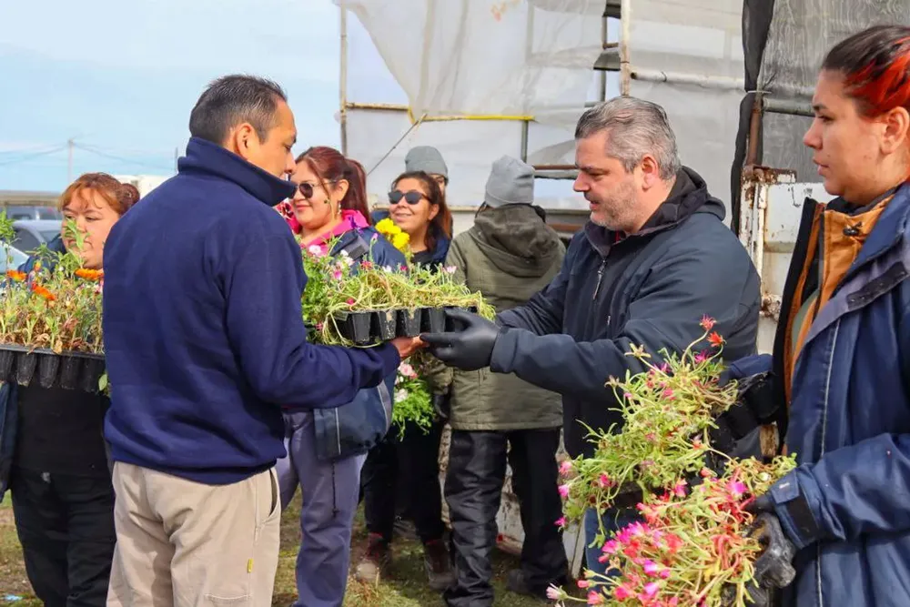 Entrega de plantines