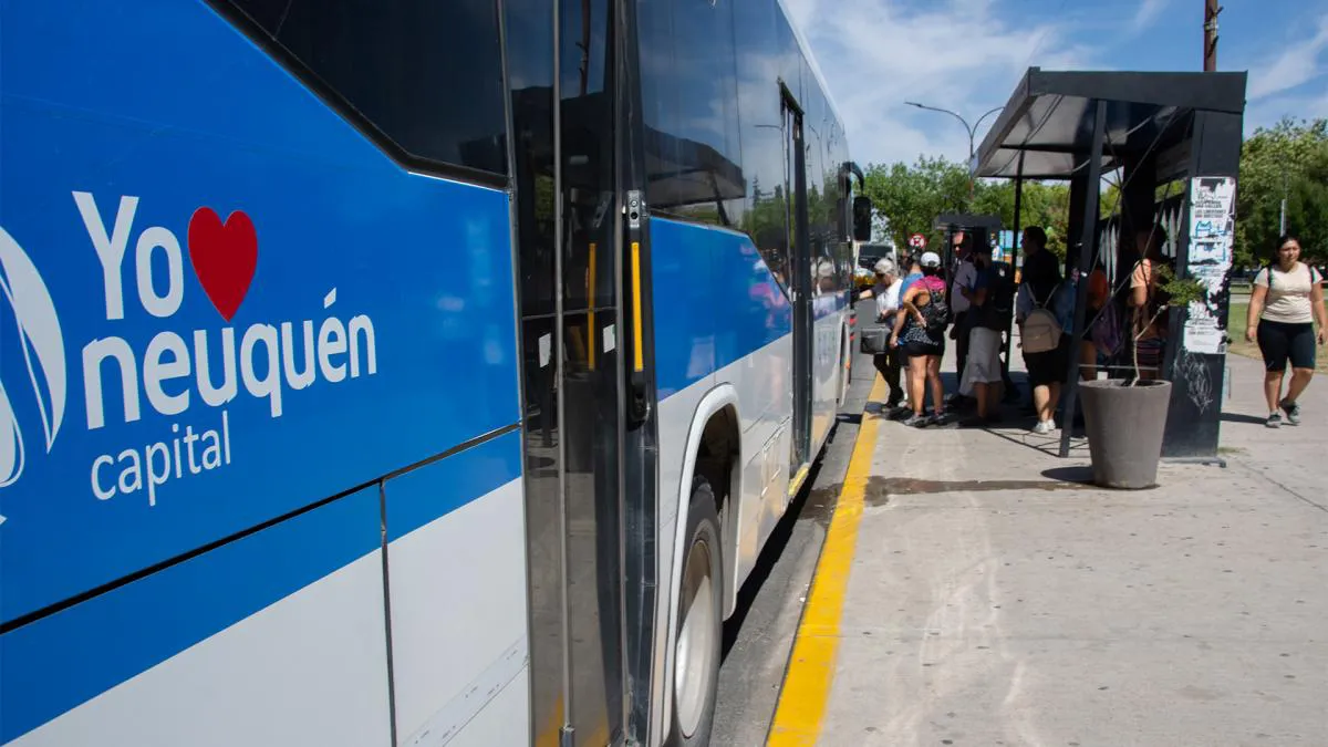 Colectivos Neuquén