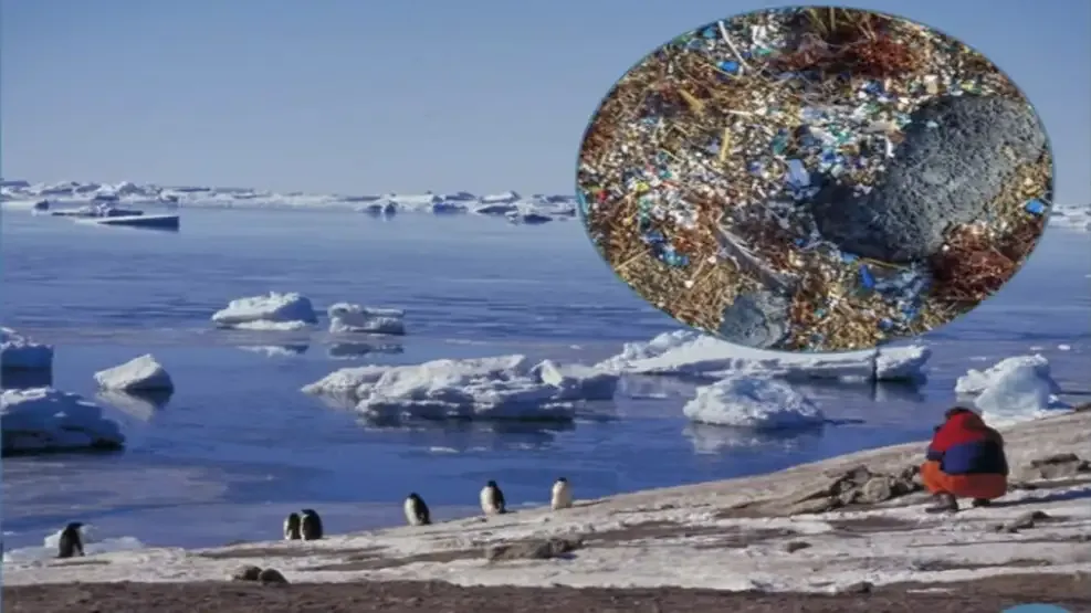 Contaminación Antártida