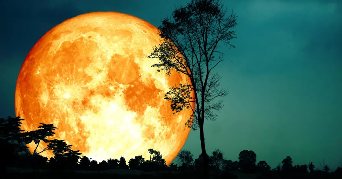 luna-cosecha-viernes-13