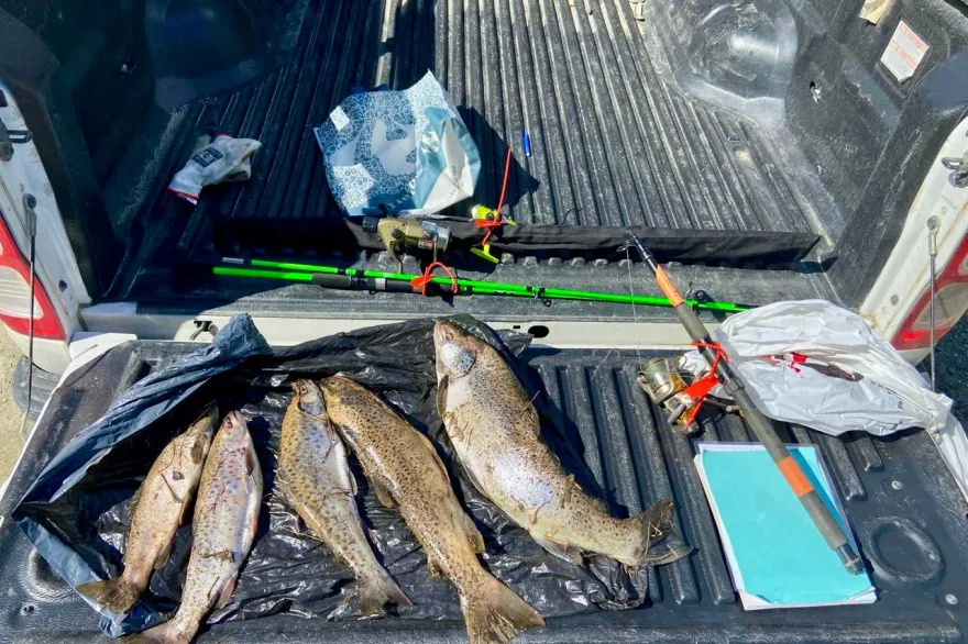 Pesca ilegal truchas
