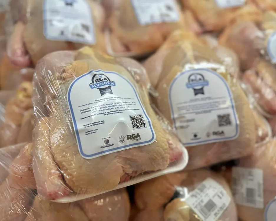 pollos rga alimentos