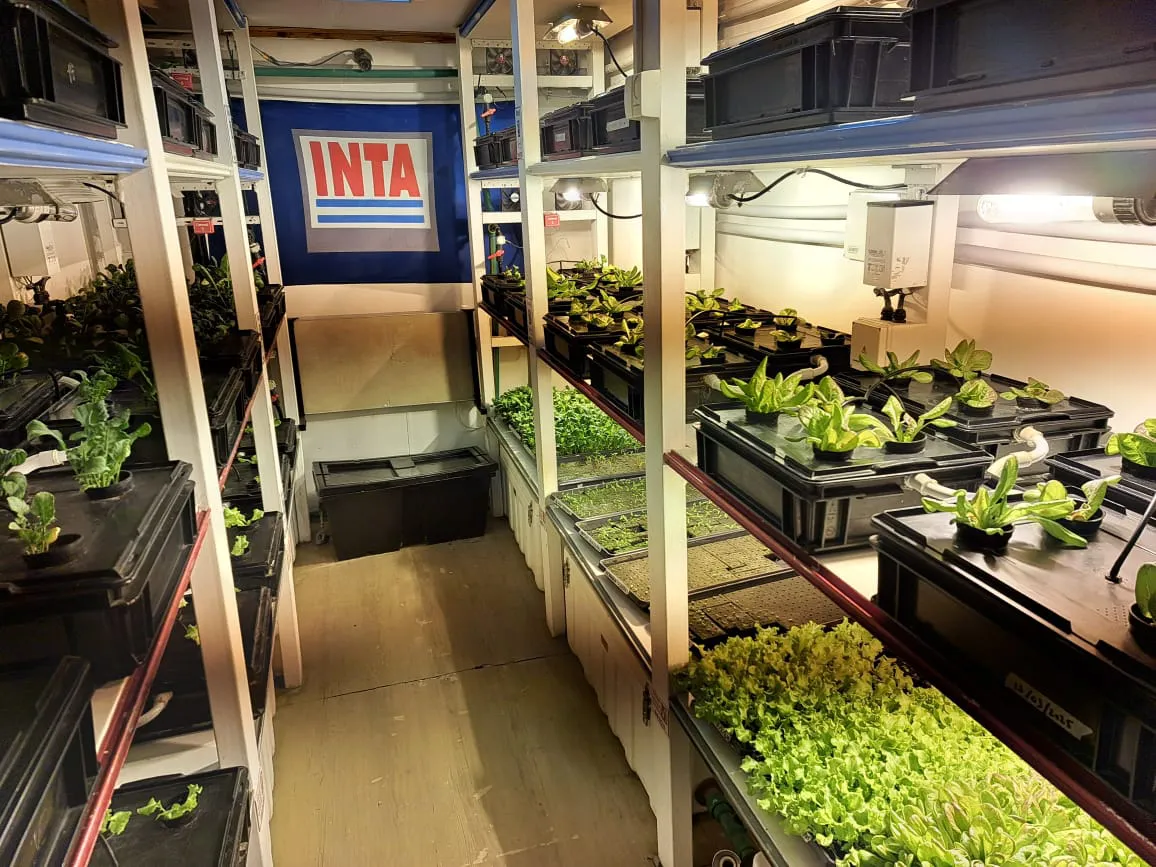 INTA