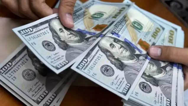 Dolar 12