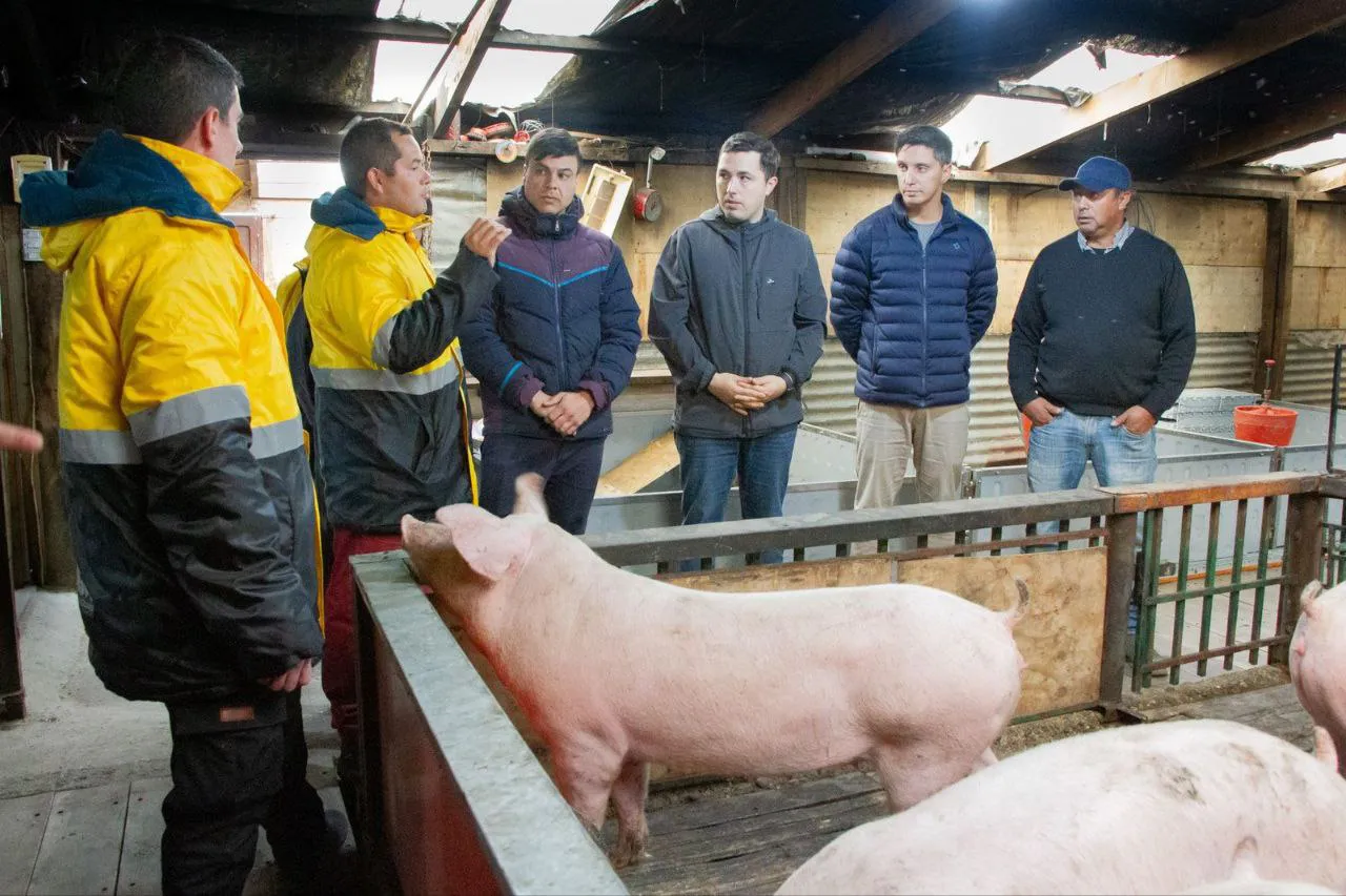 Armas- Ferro- Productores locales