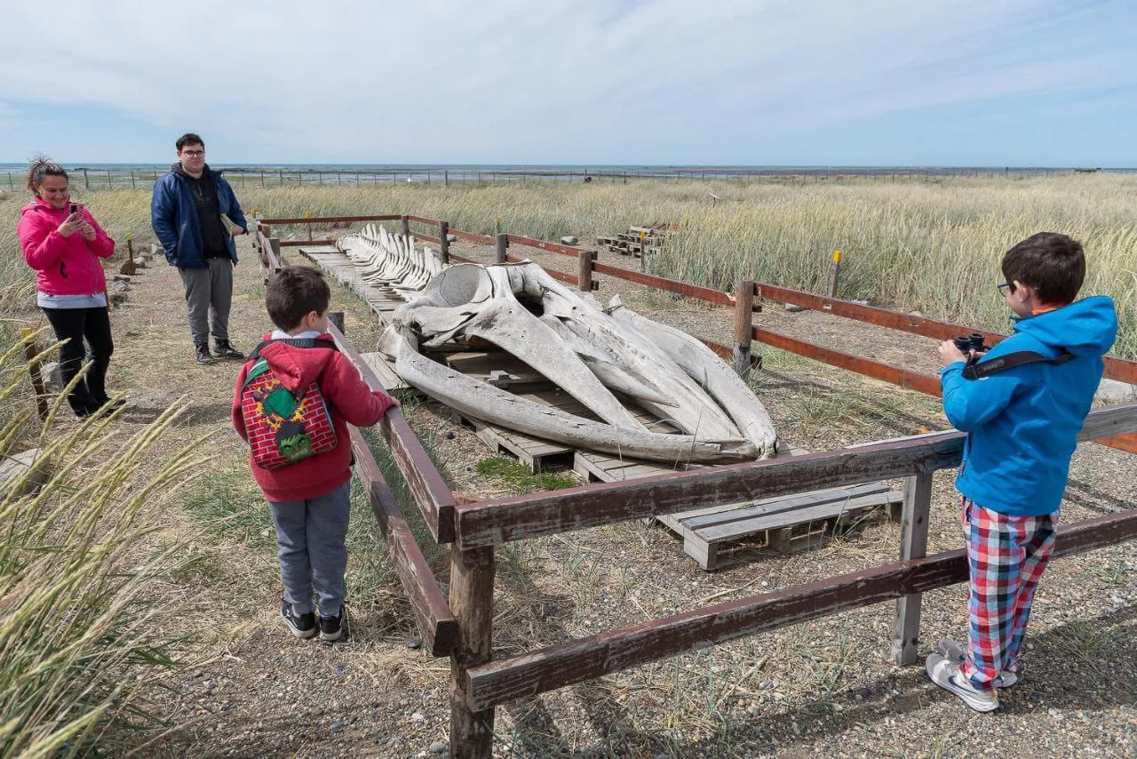 Actividades del Centro de interpretacin ambiental RG