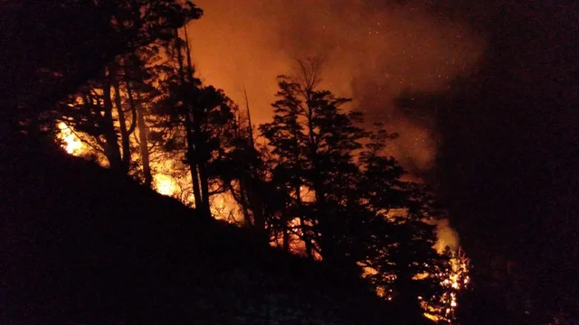 Incendio Los Alerces 