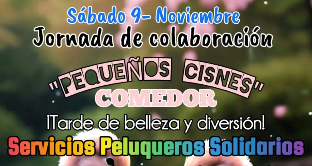Jornada Solidaria Pequeños Cisnes