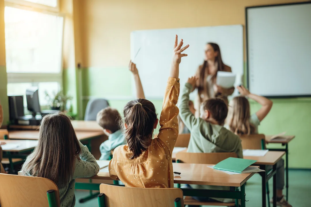 docentes primaria