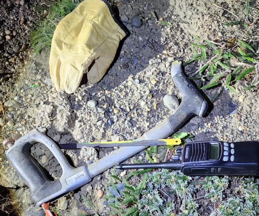 aaa9e401-4237-430a-842f-0314a5ae4350