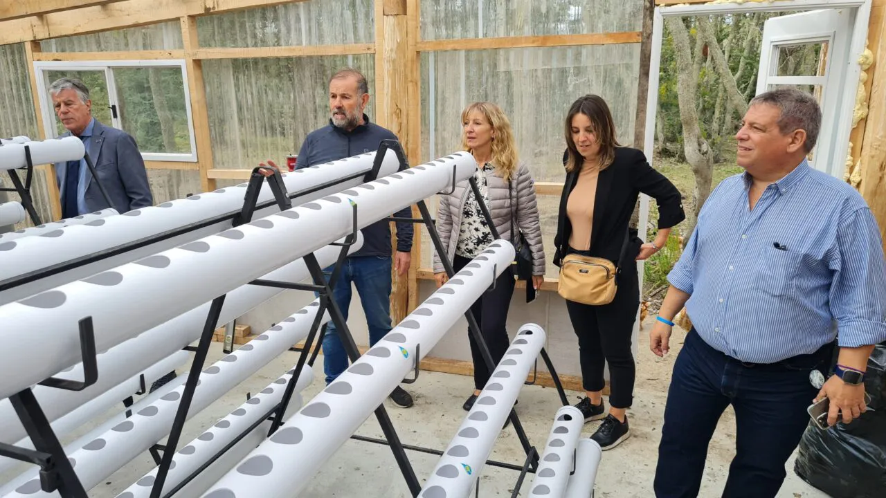 emilio producción de huevos