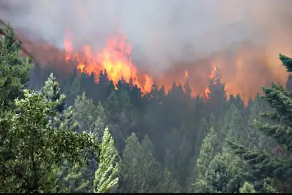 Incendio Forestal Epuyén