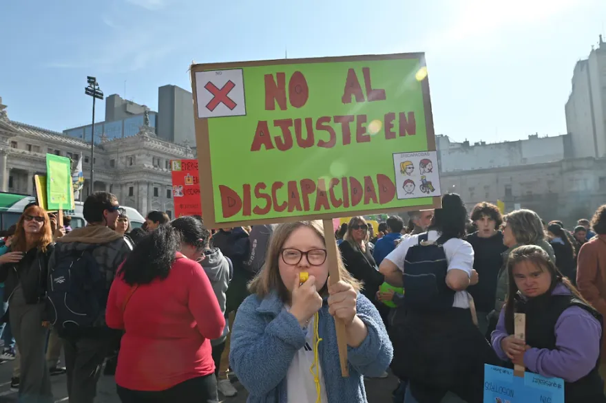 Amparo andis