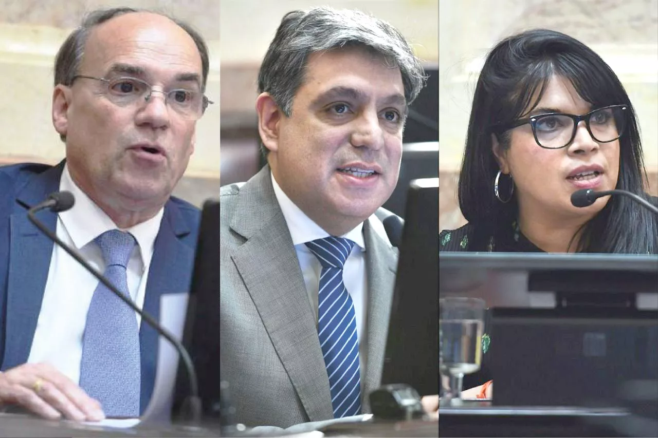 senadores fueguinos