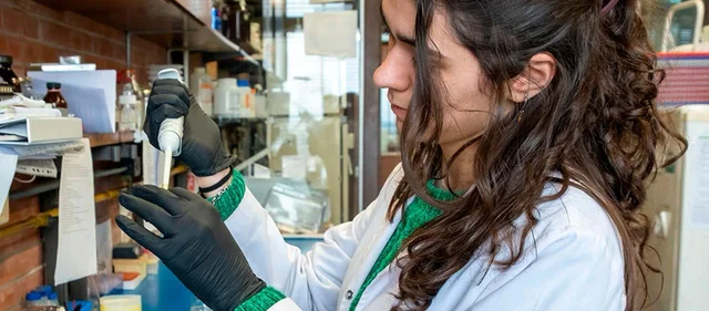 estudio maltrato infantil