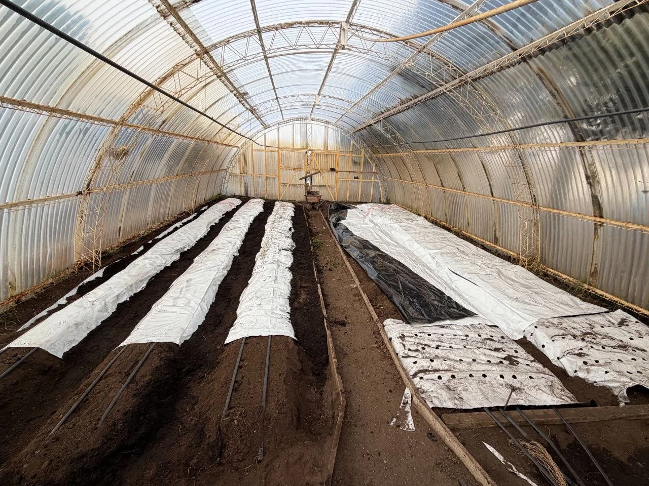 Chacra agroexperimental MUNI RG