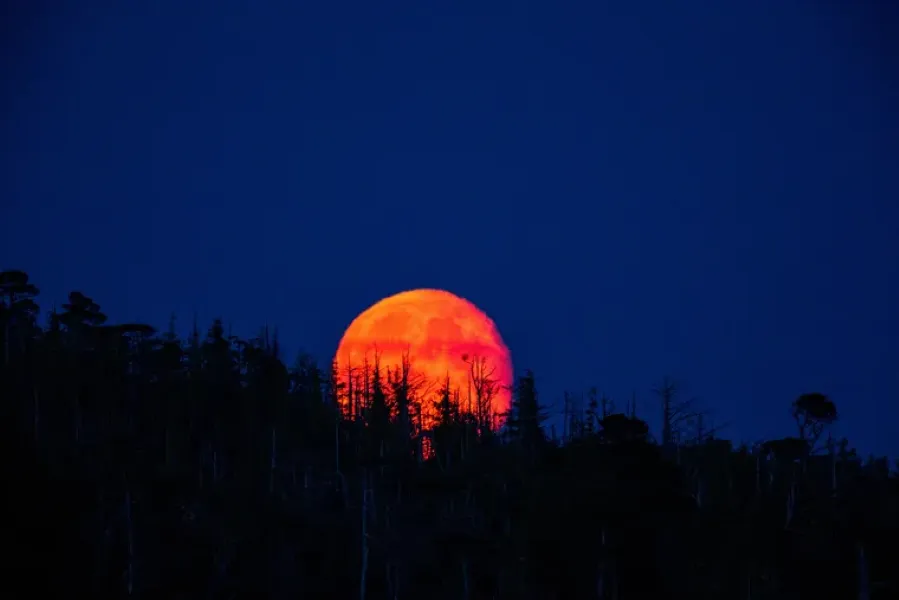 Luna de sangre