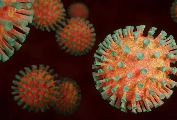 Virus B